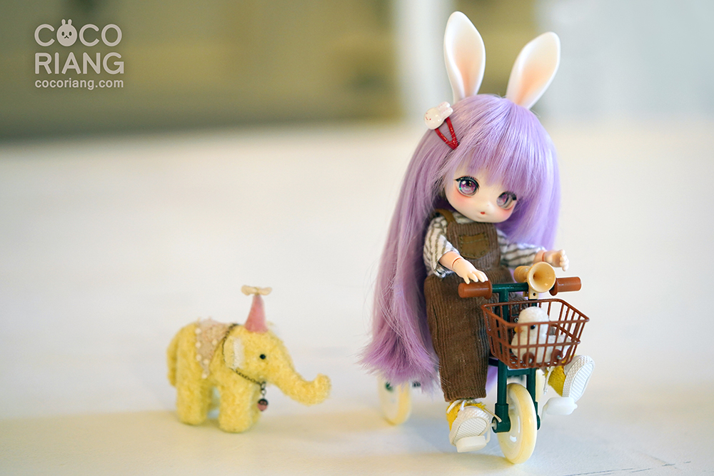 DA-RAE [cocoriang official version] bjd ob11 1/12 points only 12